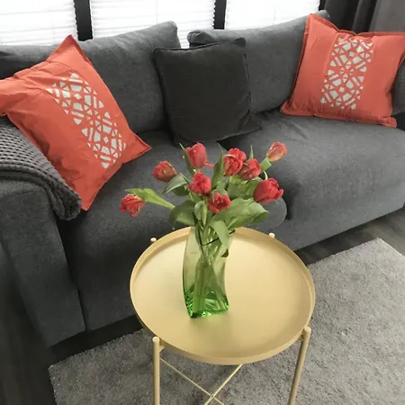 Hausboot Fjord Serina Mit Biosauna In * Schleswig